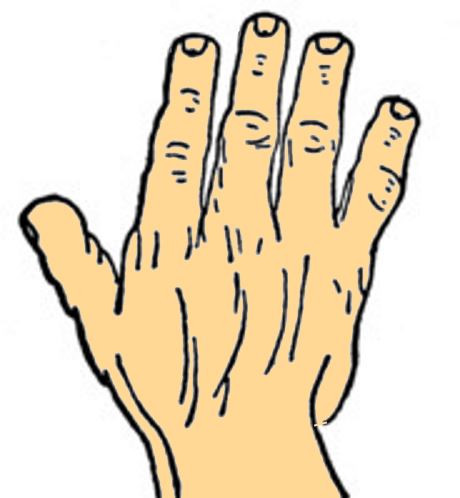 elementary shape hand